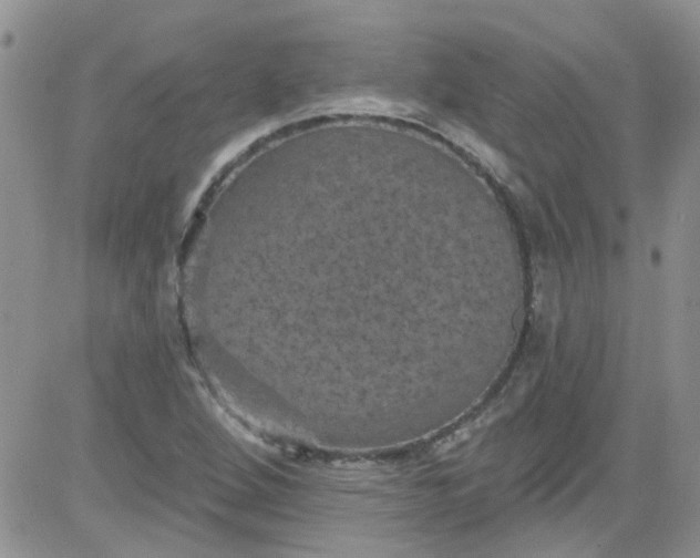 X0000084051264200703022205