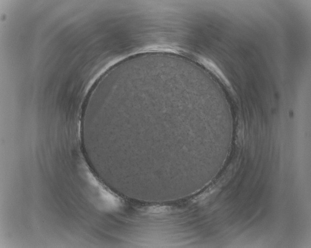 X0000084051268200703022205