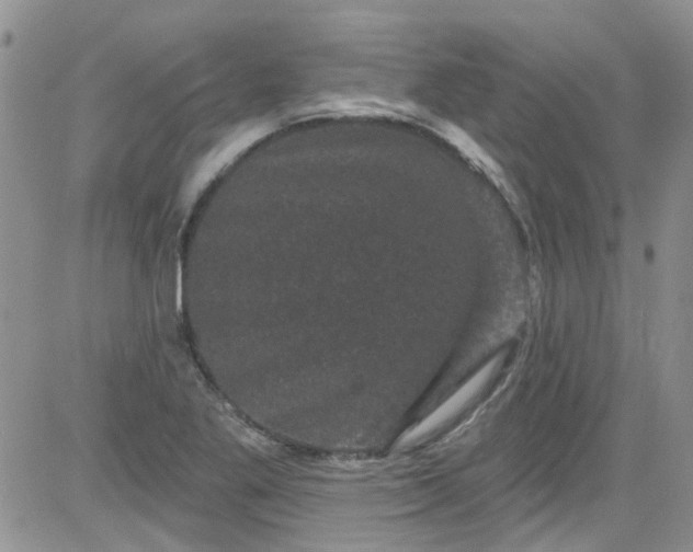 X0000084051269200703022205