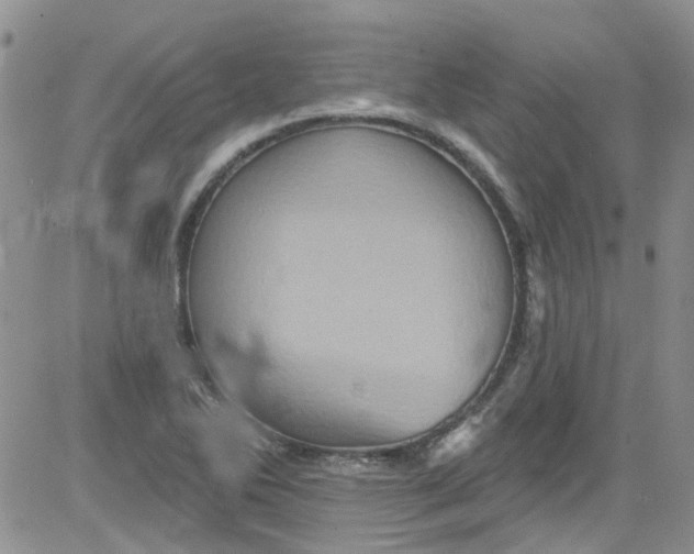 X0000084051270200703022205