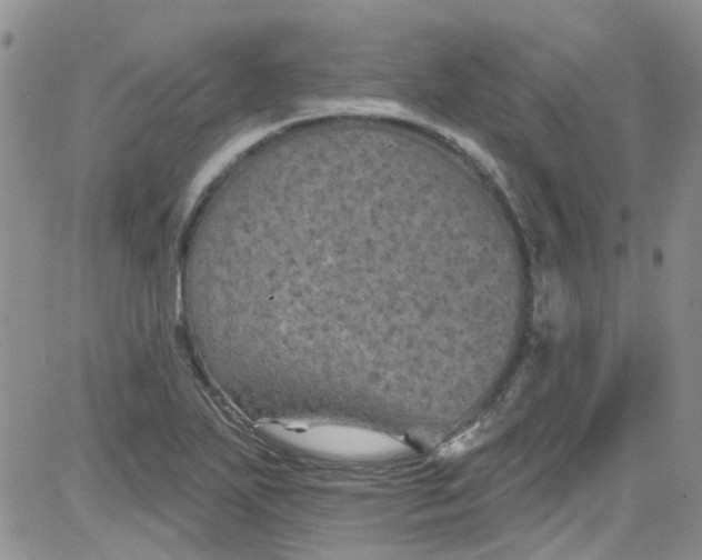 X0000084051271200703022205