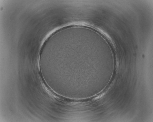 X0000084051272200703022205