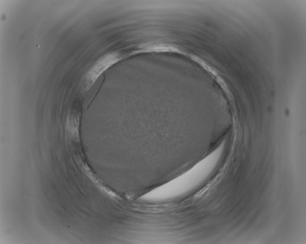 X0000084051273200703022205