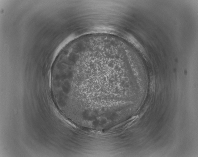 X0000084051275200703022205