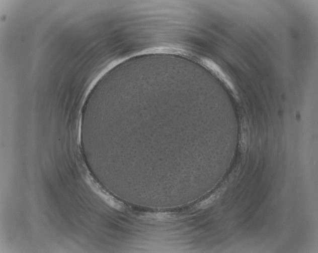 X0000084051276200703022205