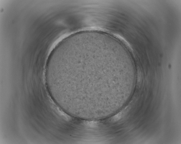 X0000084051278200703022205