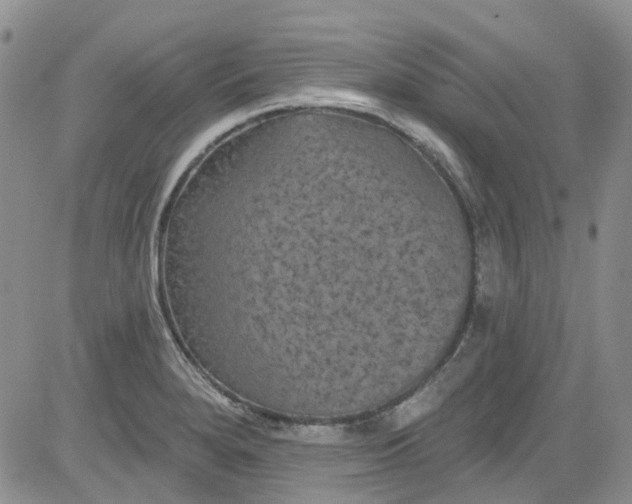 X0000084051280200703022205