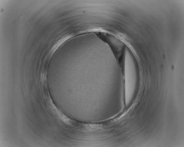 X0000084051281200703022205