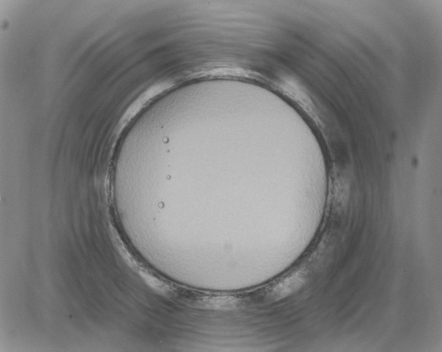 X0000084051282200703022205