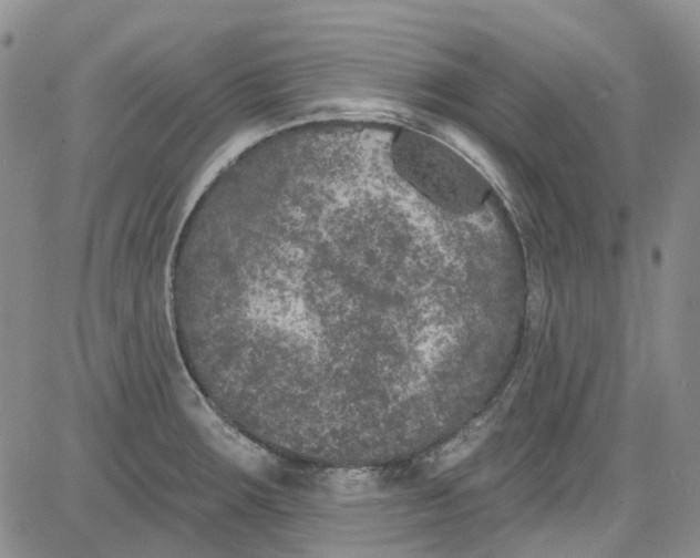 X0000084051283200703022205