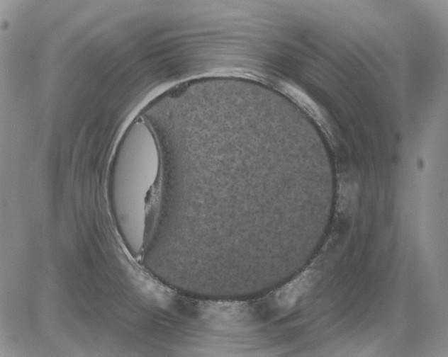 X0000084051284200703022205