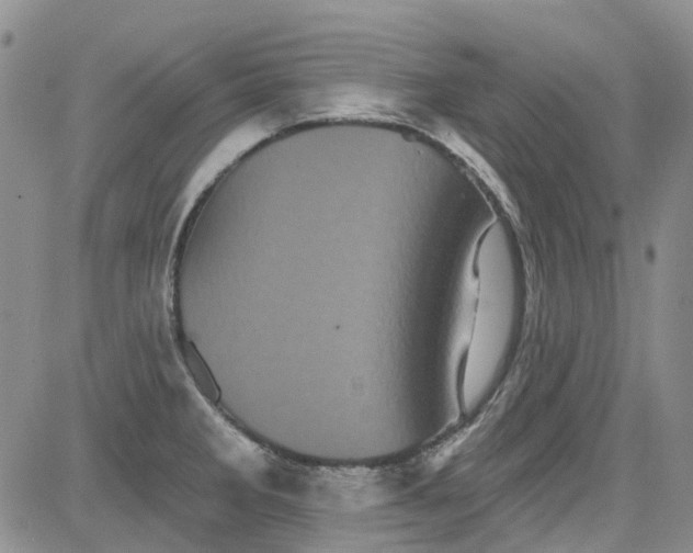 X0000084051285200703022205