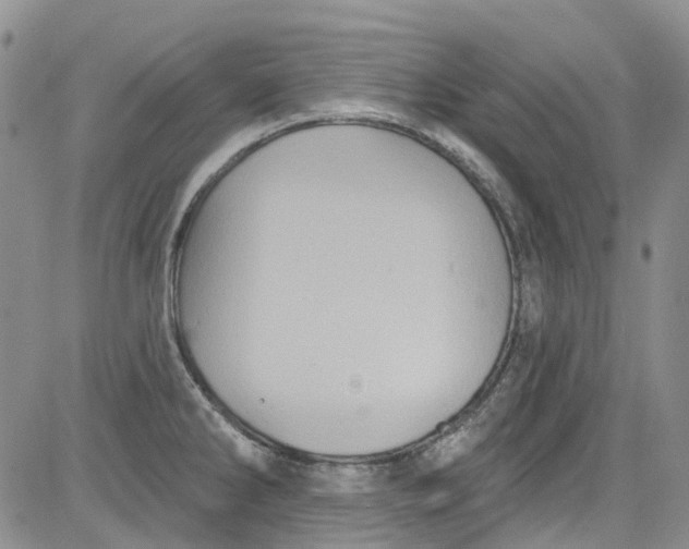 X0000084051286200703022205