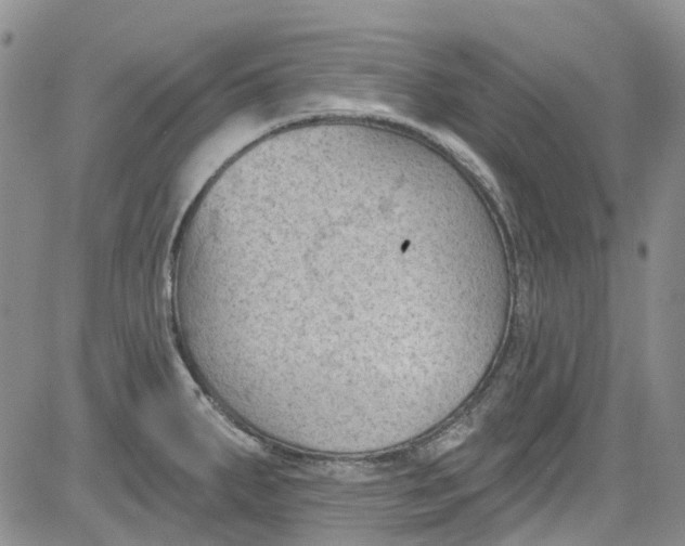 X0000084051287200703022205