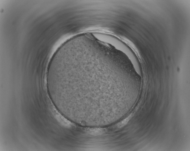 X0000084051288200703022205