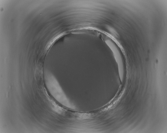 X0000084051289200703022205