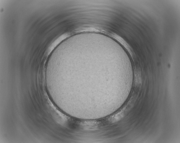 X0000084051290200703022205