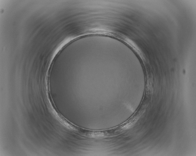 X0000084051291200703022205