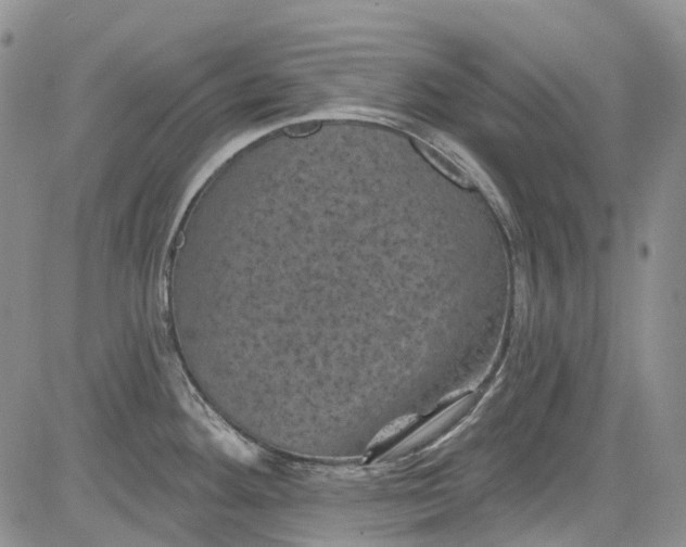 X0000084051292200703022205