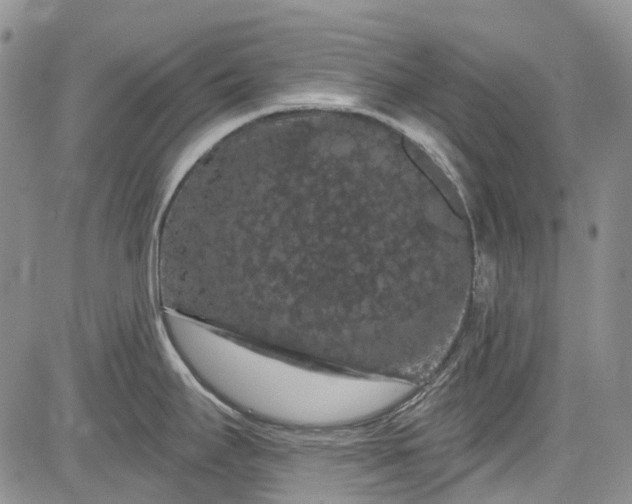 X0000084051295200703022205