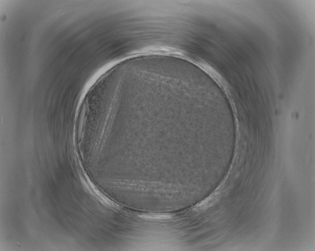 X0000084051296200703022205