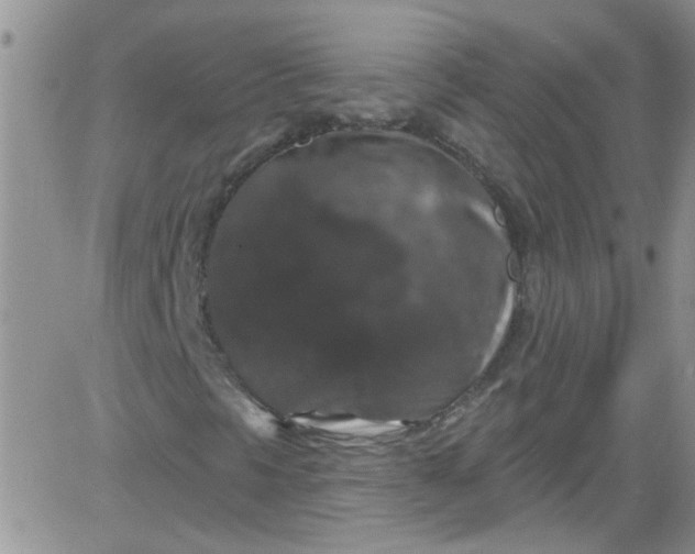 X0000084051297200703022204