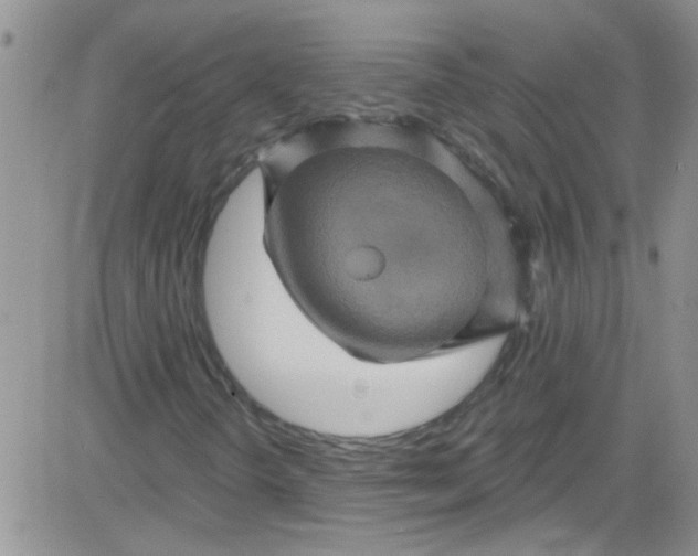 X0000084051298200703022204