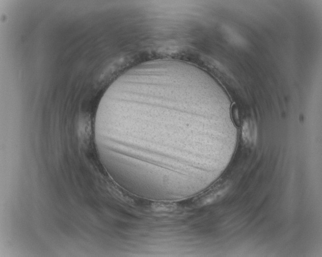 X0000084051299200703022204