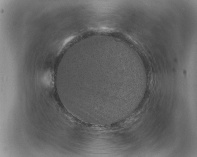 X0000084051301200703022204