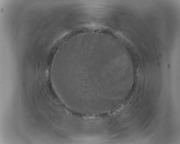 X0000084051302200703022204