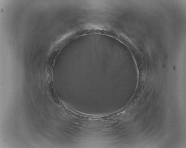 X0000084051303200703022204