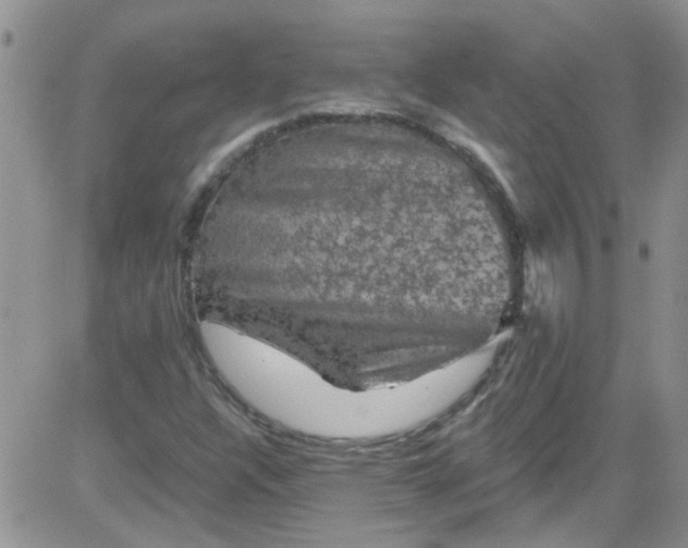 X0000084051304200703022204