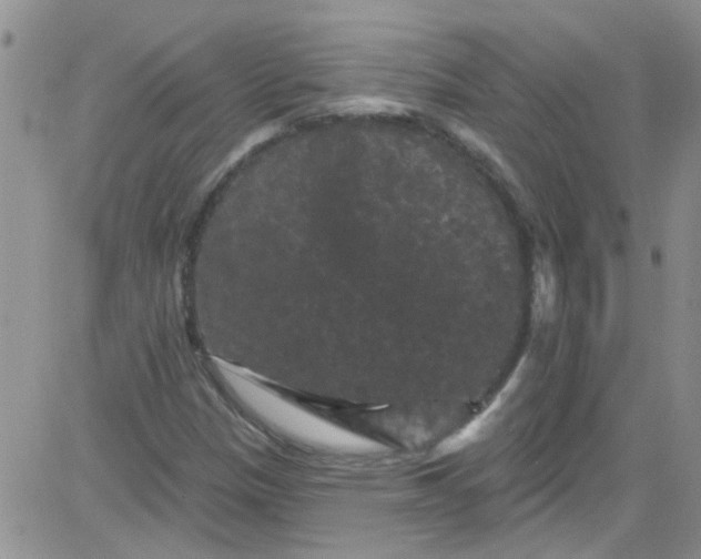 X0000084051305200703022204