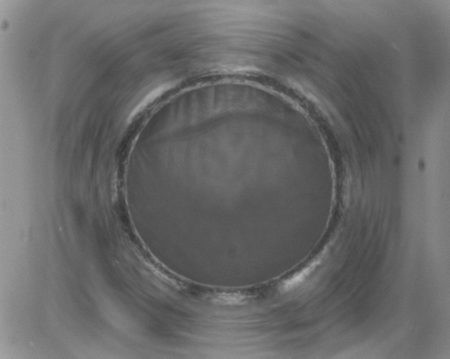 X0000084051306200703022204