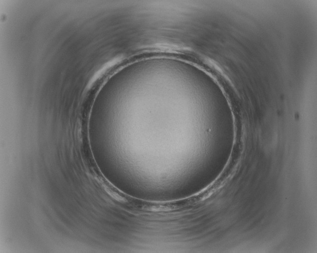 X0000084051307200703022204