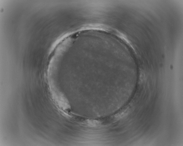 X0000084051312200703022204