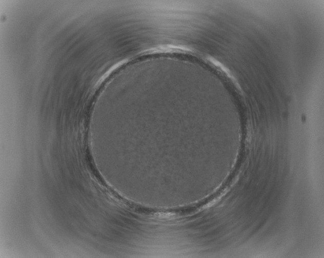 X0000084051313200703022204