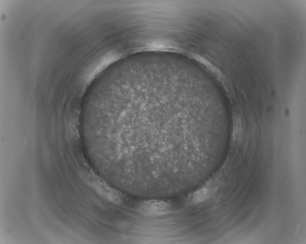 X0000084051314200703022204