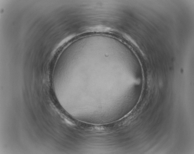 X0000084051315200703022204