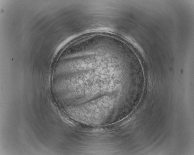 X0000084051316200703022204