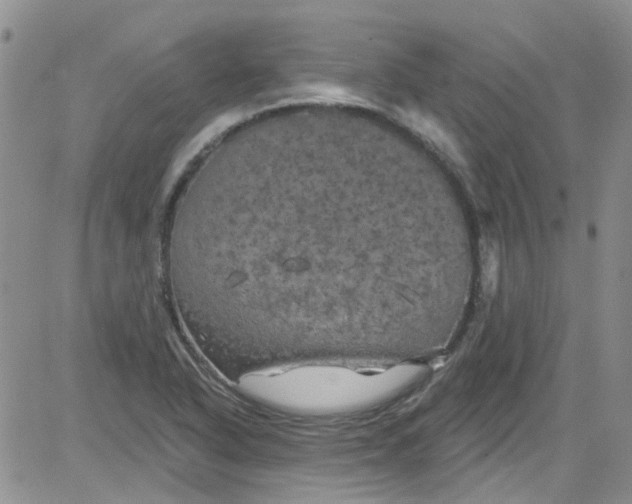 X0000084051318200703022204