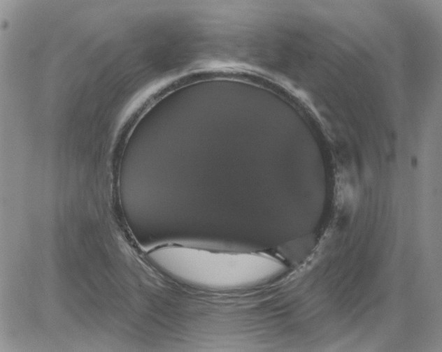 X0000084051319200703022204