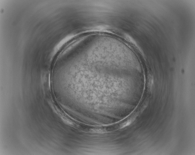 X0000084051320200703022204