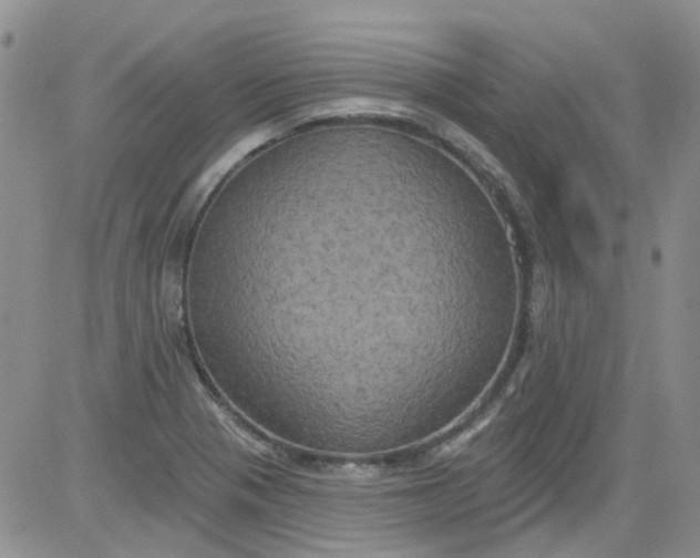 X0000084051321200703022204