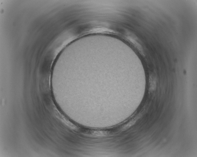 X0000084051322200703022205