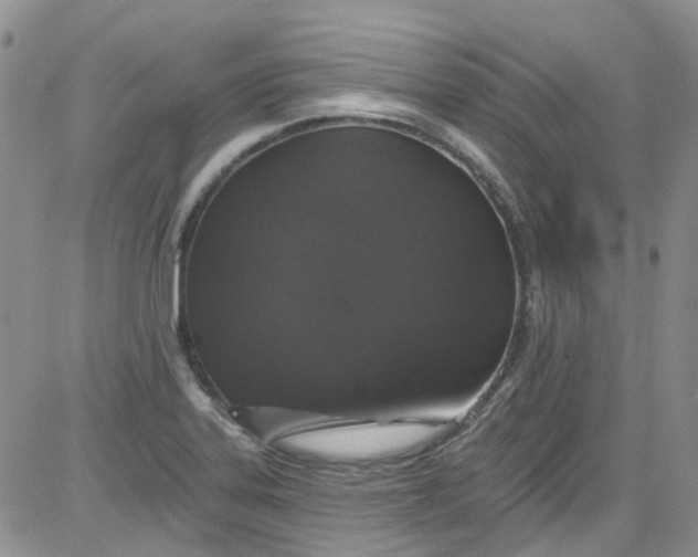 X0000084051323200703022205