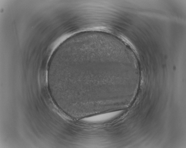 X0000084051324200703022205