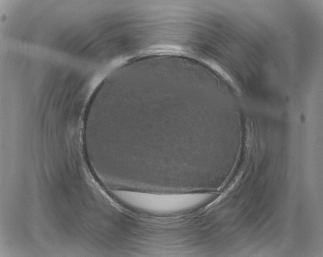 X0000084051325200703022205