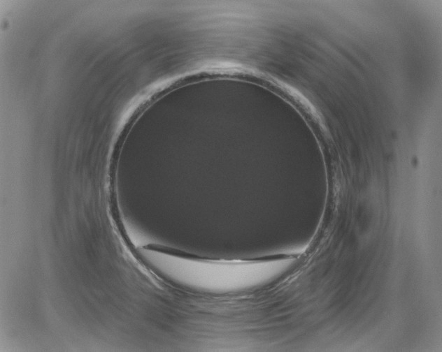 X0000084051327200703022205