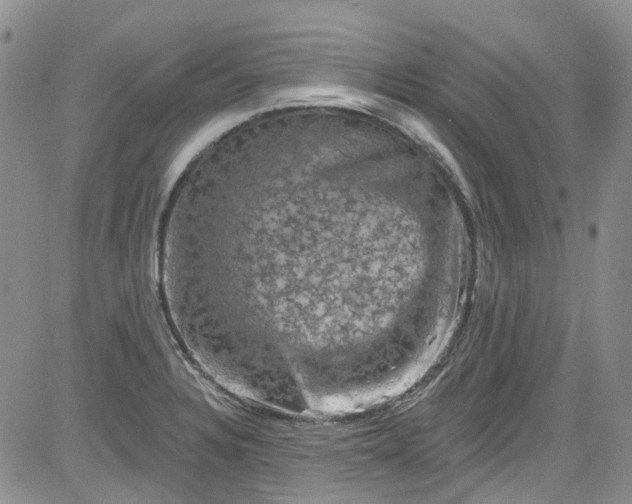 X0000084051328200703022205